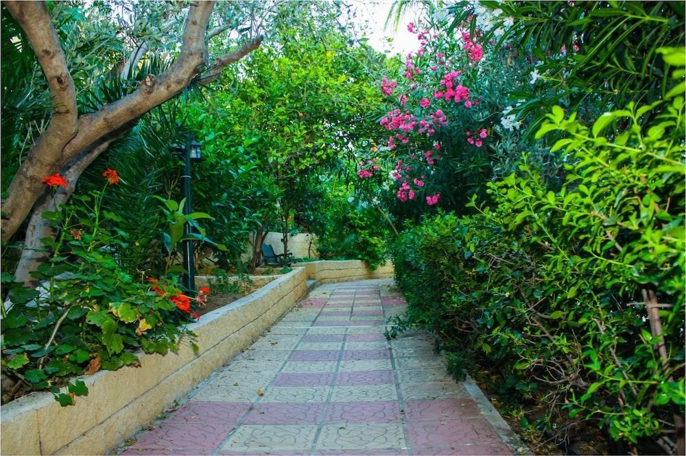 Pappas Hotel Loutraki  Bagian luar foto